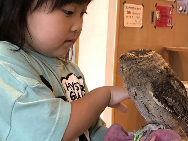 䂩4 򕌂痈܂_ӂ낤̂XJtFÉhX