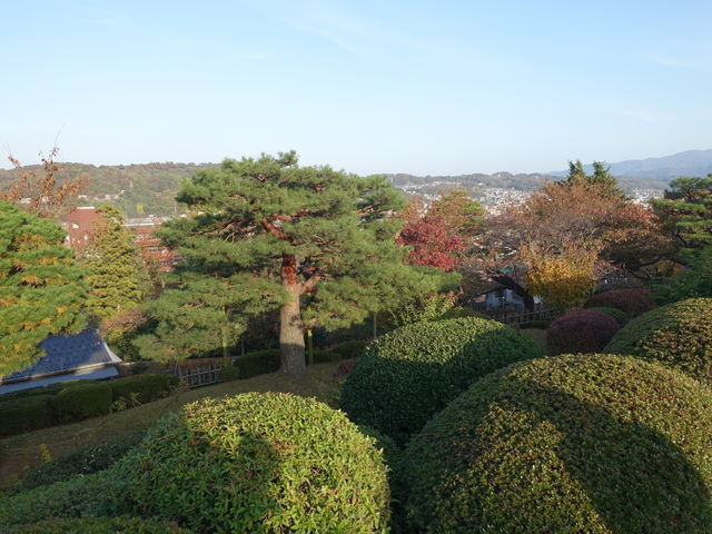 ���V�C���ǂ���ΎR�X��_���]��(���Z���j