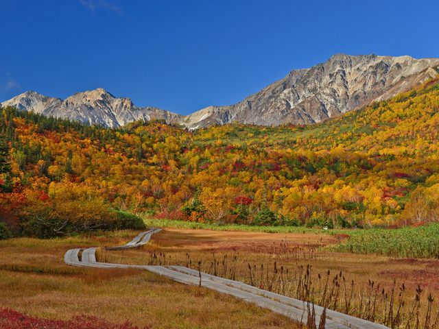 �܂�ŊG��̂悤_�̒r���R��