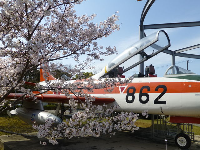 ���������傳��̃~�c���@(��)�̓��e�ʐ^2