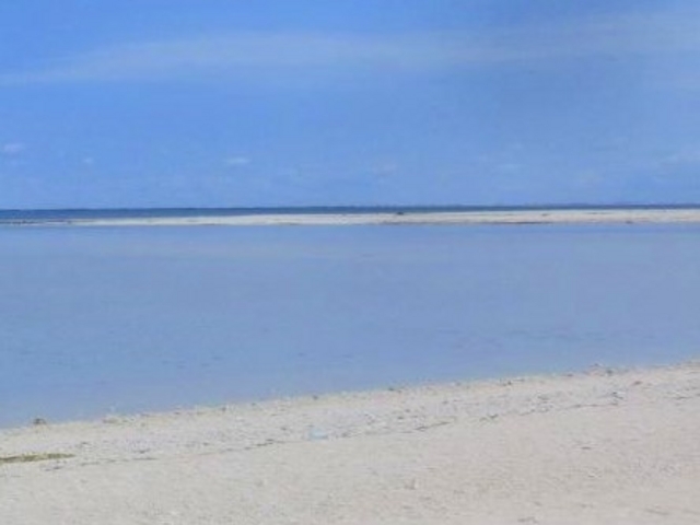 ���m��Ƃ�������r�[�`�u�n�e�̕l�v_�n�e�̕l