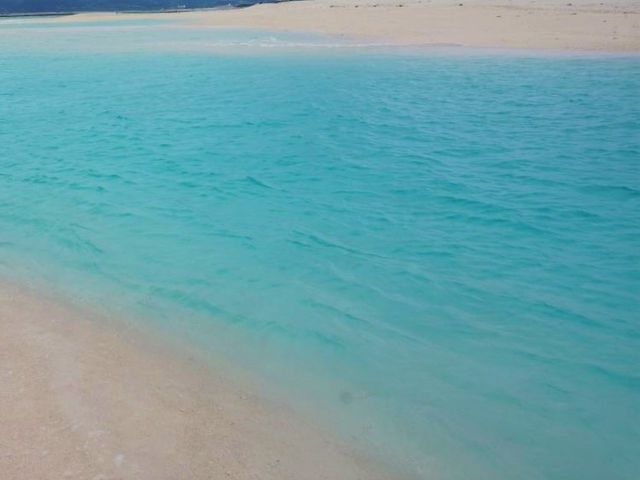 �n�e�̕l_�n�e�̕l