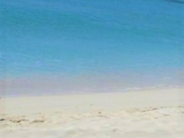 �n�e�̕l_�n�e�̕l