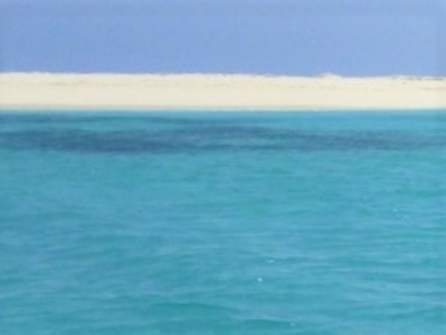 �����x���Q�̐��C�Ɣ������l_�n�e�̕l