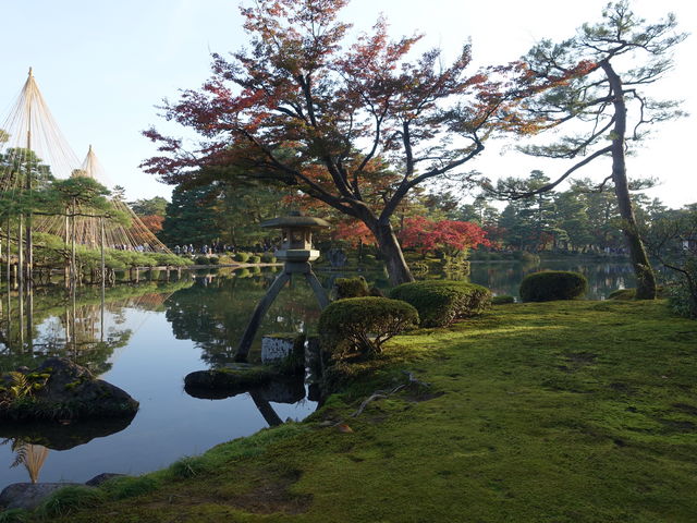 ���������Z��_�����r(���Z���j