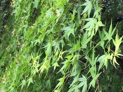 ��������̋������ւ̓��e�ʐ^1