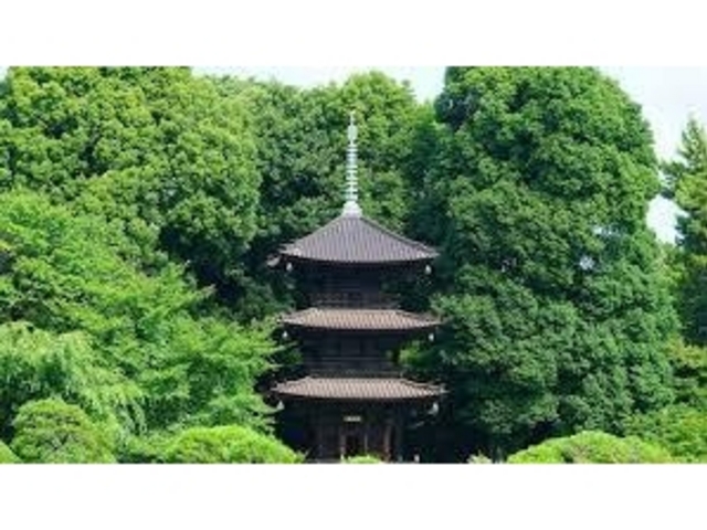 �O�d��_�֎R�� �뉀