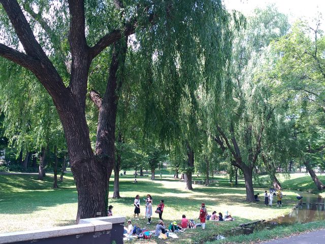 ���i_�k�C����w