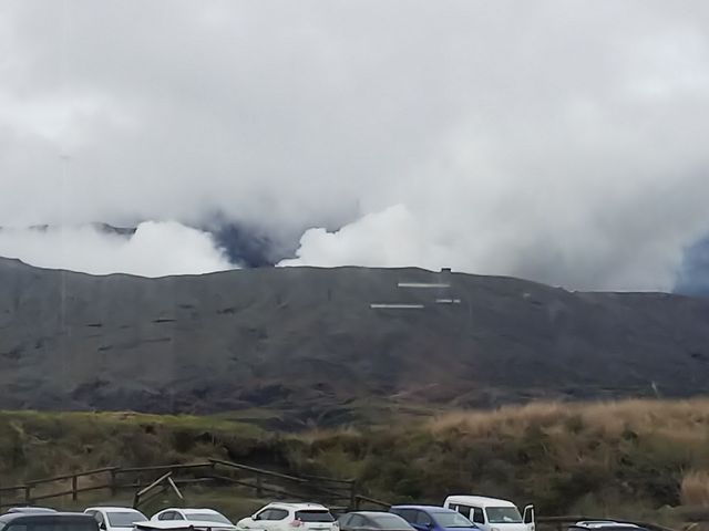 Xg猩镬΂̗lq_j[痢