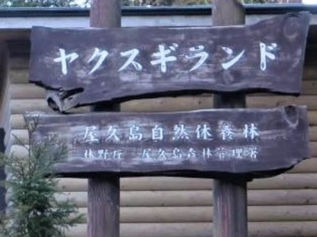 ���N�X�M�����h_���N�X�M�����h