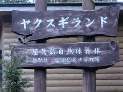 tos����̃��N�X�M�����h�ւ̓��e�ʐ^1