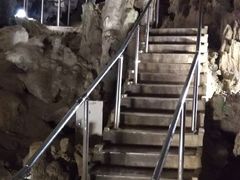 Ă̐Ί_ߓւ̓eʐ^1