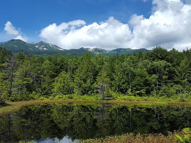 �t�̂肭��_�����r