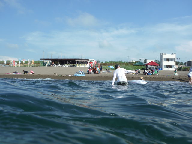 �C���猩���l_�L�̕l�C������