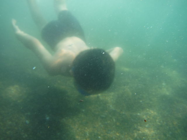 ���̐���_�L�̕l�C������