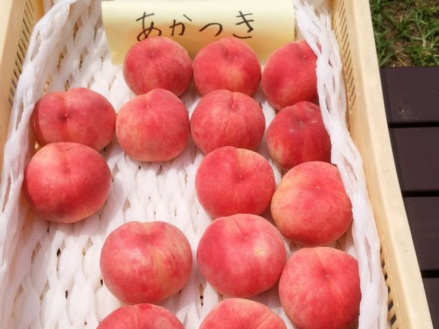 �₽����₳�ꂽ���������܂���_�܂�悵�ʎ���