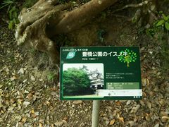 񂳂̖L̃CXmLւ̓eʐ^1