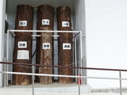 Julia̐mʐXєق̓eʐ^1