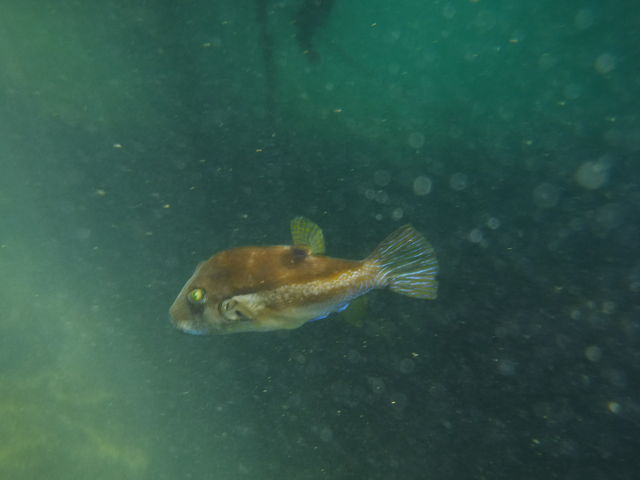 �L�^�}�N���������ł��B_�M�C�}�����X�|�[�c�N���u