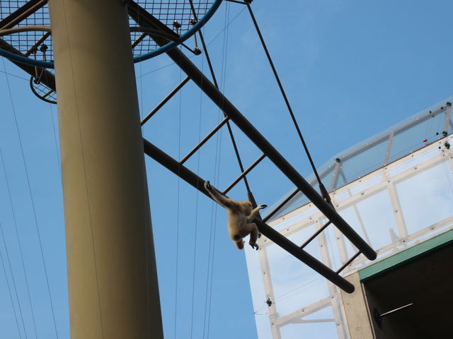 ���ԂĂȂ�����_���R������