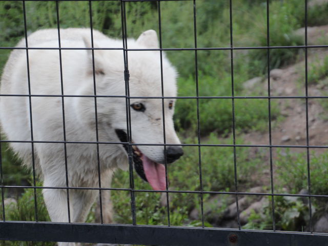 �I�I�J�~_���R������