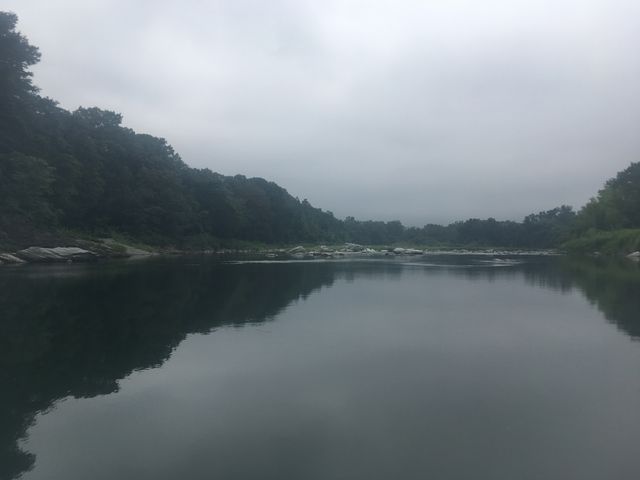 �i�F_�A���X�n�E�X���t�����Y