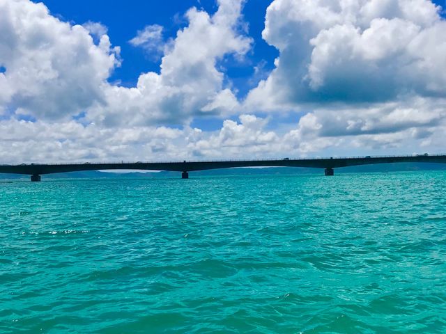 �߂�����L���C������_COCONUTS�@CLUB