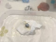 䂳䂳̐^삾̌@a{^Xւ̓eʐ^1