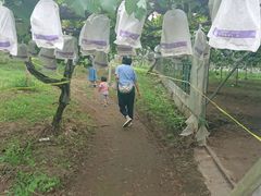 K-NAKA̔Օ􉀁iԂǂjւ̓eʐ^1