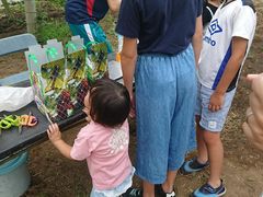 K-NAKA̔Օ􉀁iԂǂjւ̓eʐ^1