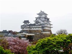 「ワの櫓から見る桜と姫路城」_姫路城の桜