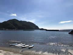 }[̐ɓrto^jVCYTbvւ̓eʐ^1