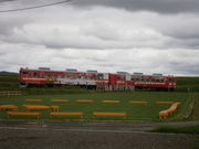 RoJCU[̑ñeX̓eʐ^2