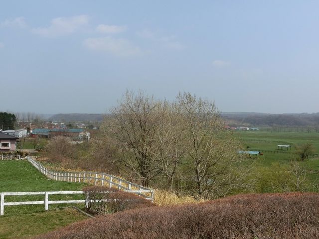 �������������̋x�e��������A�����̉J�ȂǂȂ���Ȃ��x����_�V���T���u���b�h���