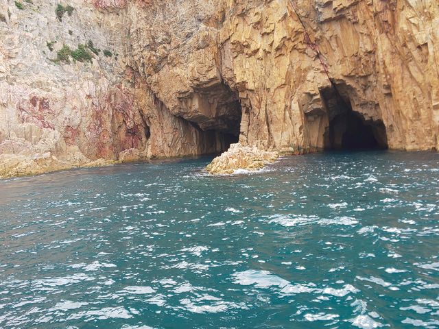 �����̎��͑O���̓��A�̒��ɓ���܂��B
�����͑D��̂ݓ��A�̒��ɓ���܂���_�C���N���[�Y