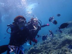 �����肳��̃V���m�[�P�����{�@�I�L�i���ւ̓��e�ʐ^1