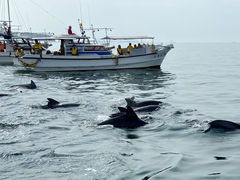 �ւڂ���񂳂�̃C���J�N���u�ւ̓��e�ʐ^1