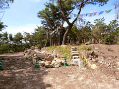 ���܂�����̖���R�V�㎛�ւ̓��e�ʐ^1