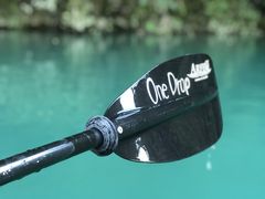 Ȃ̃hbv@AEghAKChT[rXւ̓eʐ^1