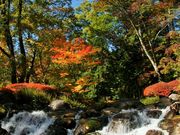 񂳂̋Er̍gt̓eʐ^1