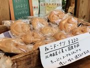 �߂̂�����̃u���[�X�J�C�R�[�q�[�̓��e�ʐ^3