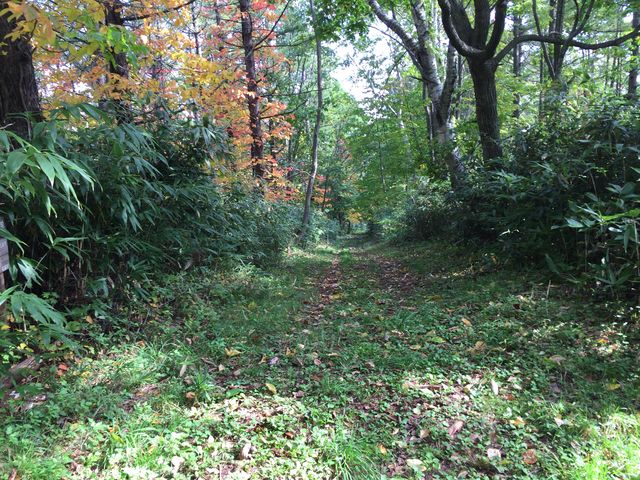 RL[gQlPB̍⓹Ђ~܂B_R