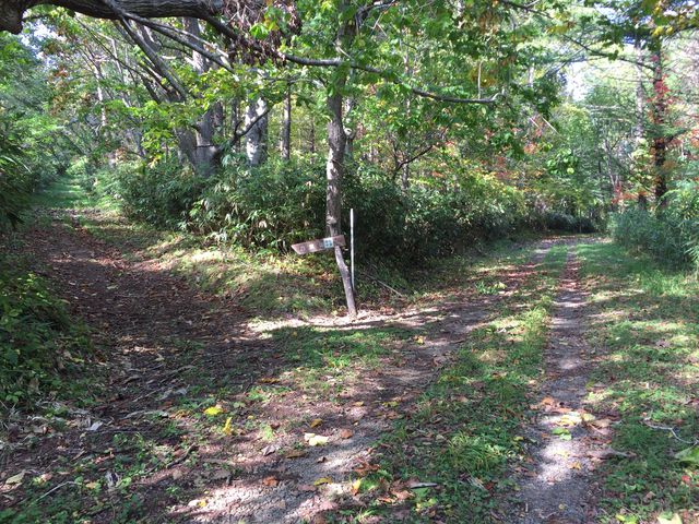 RL[gQlRB_B̍⓹Ђ~Ă܂Bӂ肩ĎBeB_R