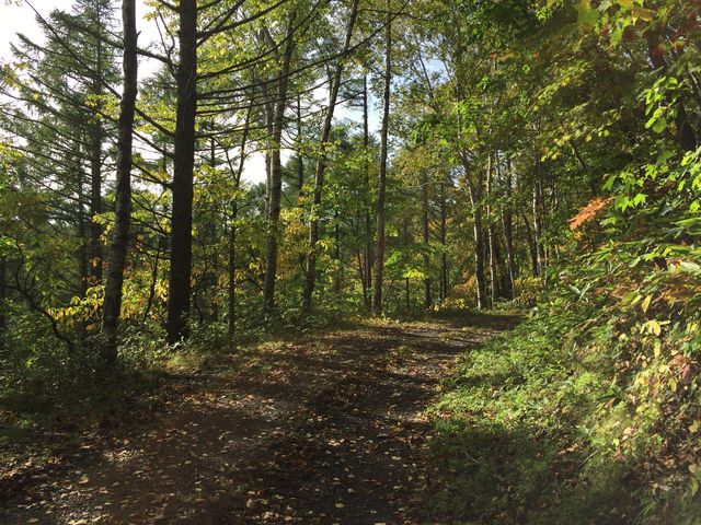 RL[gQlSBĈ悢XюUłB_R