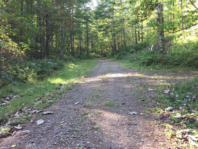 RL[gQlTBWʂɕ܂AoƉł͏[gႤ͗lB_R