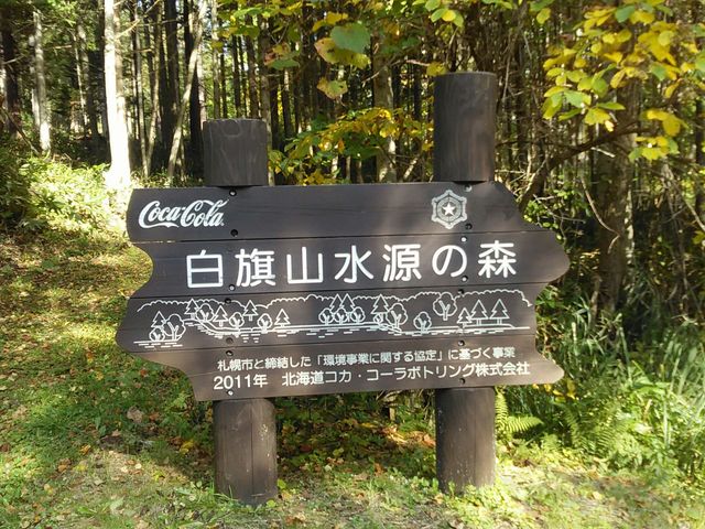 L̃Q[gt߂ɃRJR[̐XB_R