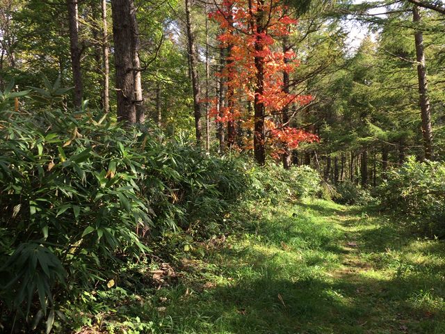 R炱̍gtɊ䂩ALڎwĉR܂B_R