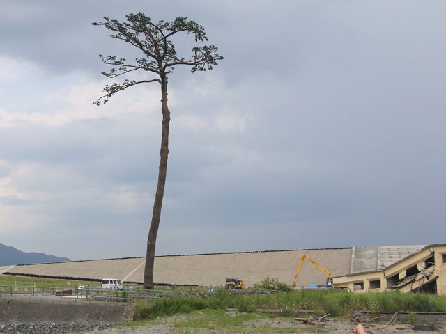 Ղ̈{̌ɂ͍hg炪I_Ղ̈{