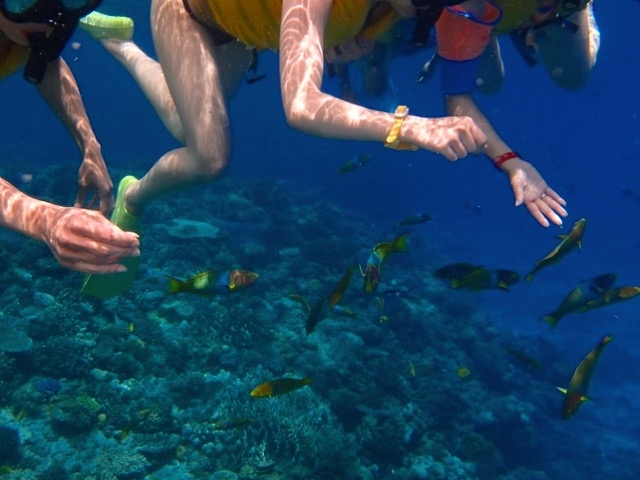 Vm[POłBBB_}Vbv }[Ch