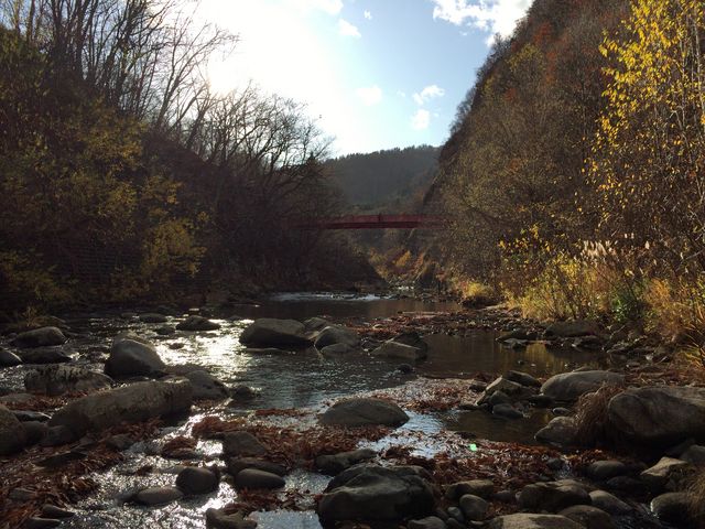 �k�J�̐삩�猩���i�F�B�񌩌����B_��R�k